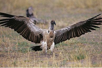 R星仍计划在2025年发布《GTA6》 不会跳票？