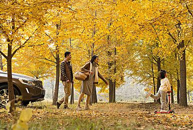 《Flock》7月16日正式发售 首发登陆XGP